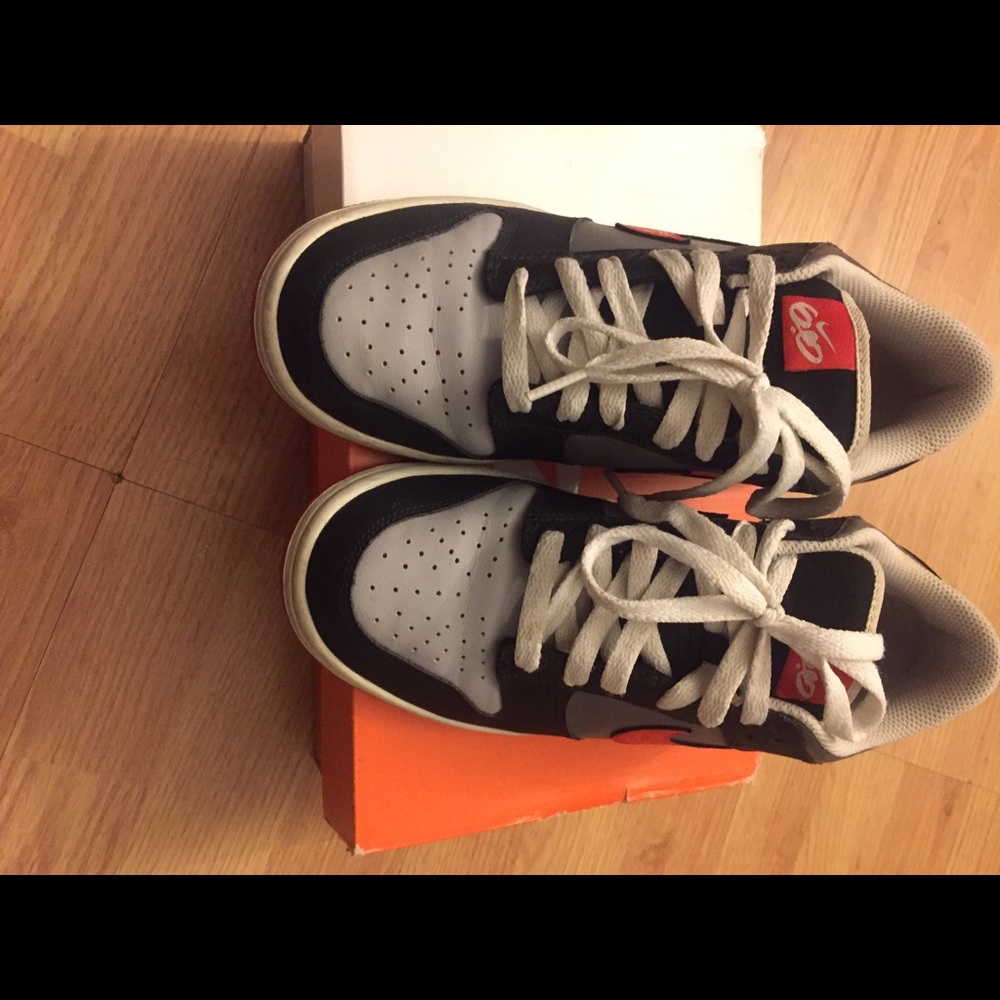 Nike SB 6.0